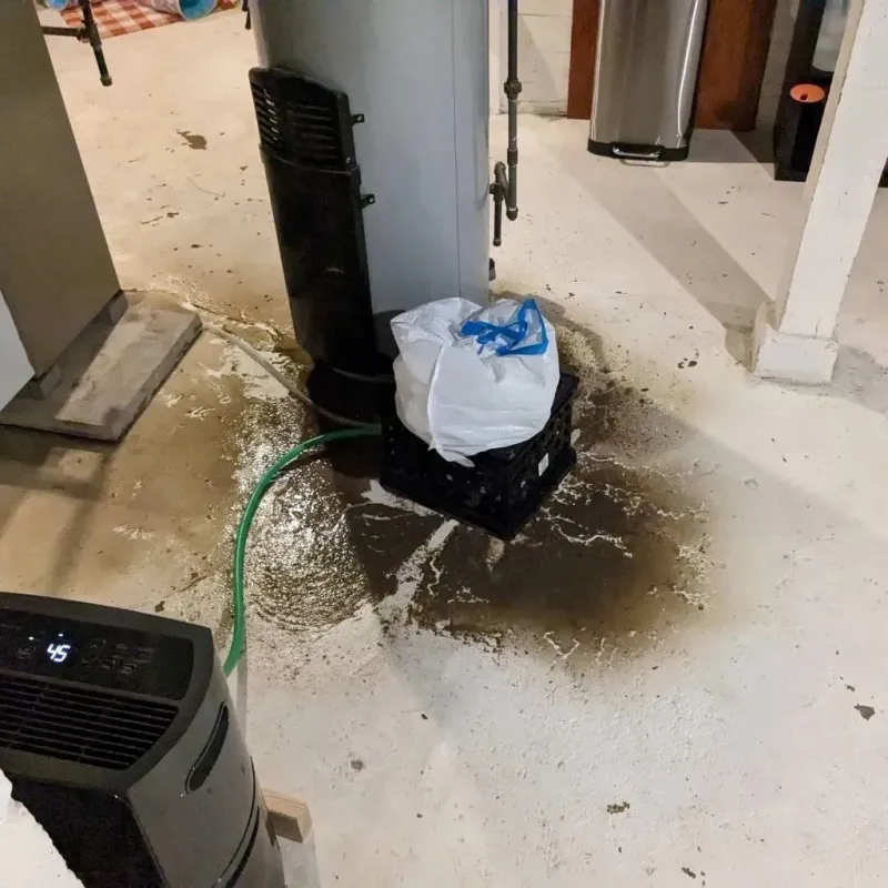 Sewage Backup Cleanup Service in Deenwood, GA
